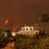 Assurance habitation et feux de forêt : êtes-vous vraiment couvert ?
