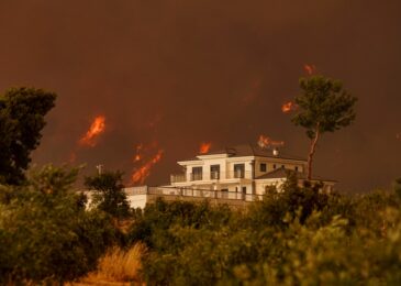 Assurance habitation et feux de forêt : êtes-vous vraiment couvert ?